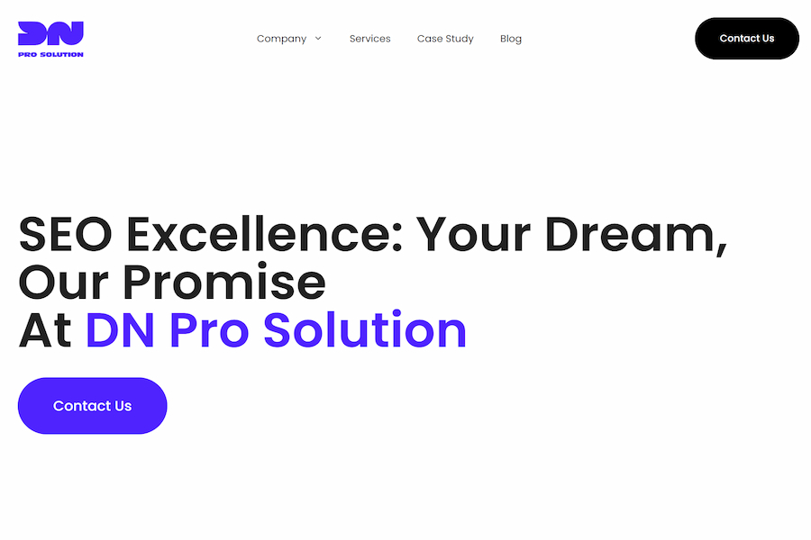DN Pro Solution Website